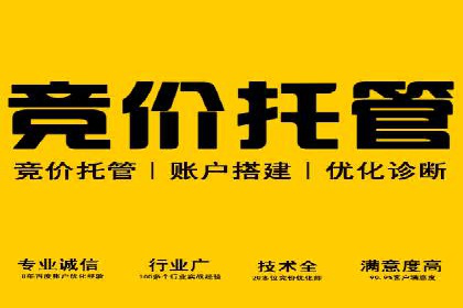 SEM推广公司成功案例：助力企业实现业绩持续增长